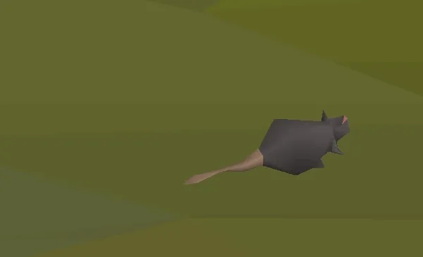My boy Rat